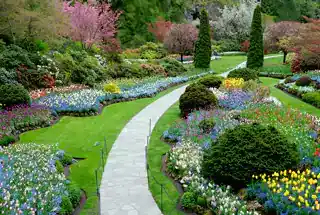 Landscape Garden
